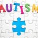 Unravelling Autism